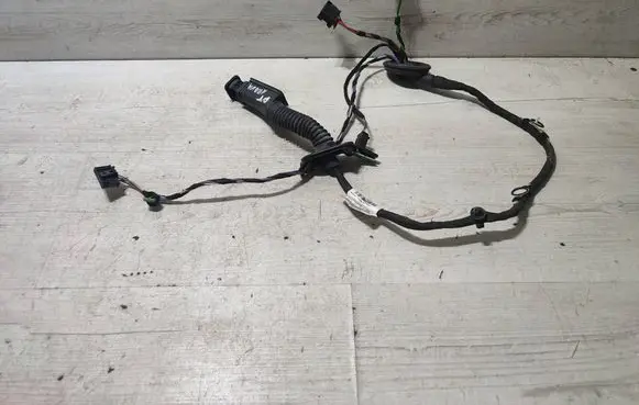 Seat Arona Rear door wiring loom 6F0971162N