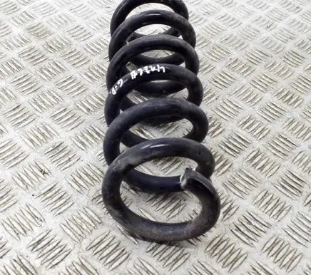 Ford Mustang Mach-E Rear coil spring LJ9C5560BNF