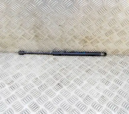 Opel Insignia B Front bonnet/hood damper/strut 39150008