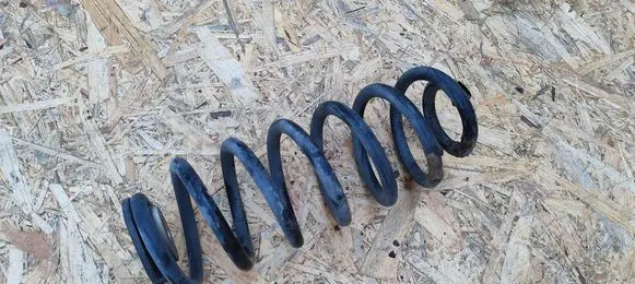 Rear coil spring