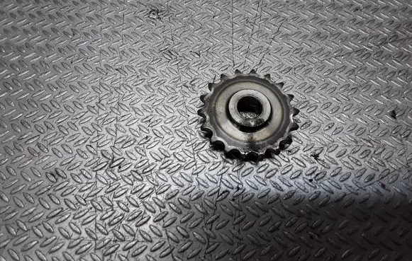 KIA Sorento Timing chain sprocket 