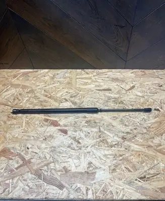 Tailgate/trunk strut/damper
