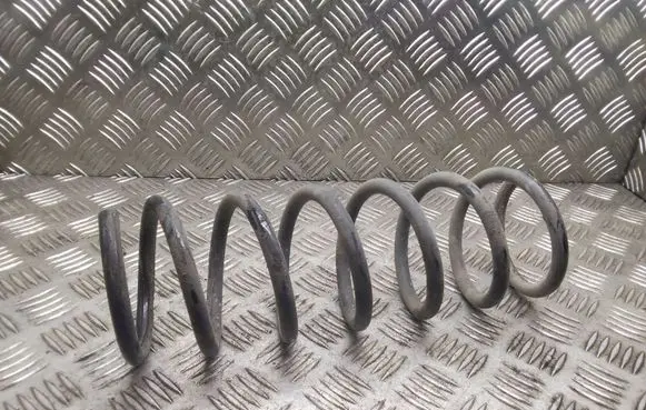 Rear coil spring