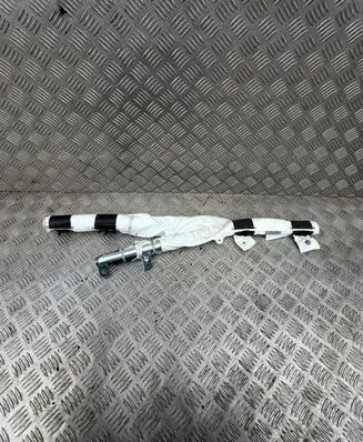 Tesla Model X Roof airbag P632792701