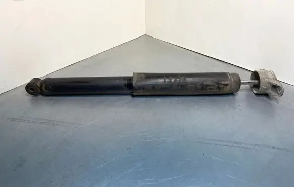 Ford Kuga II Rear shock absorber/damper CV6118080ABB