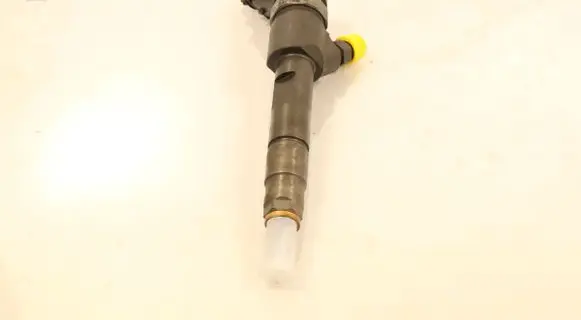 Renault Scenic II - Grand scenic II Fuel injector 0445110230