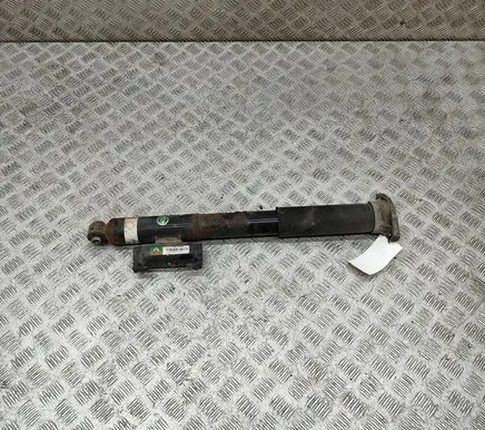 Rear shock absorber/damper