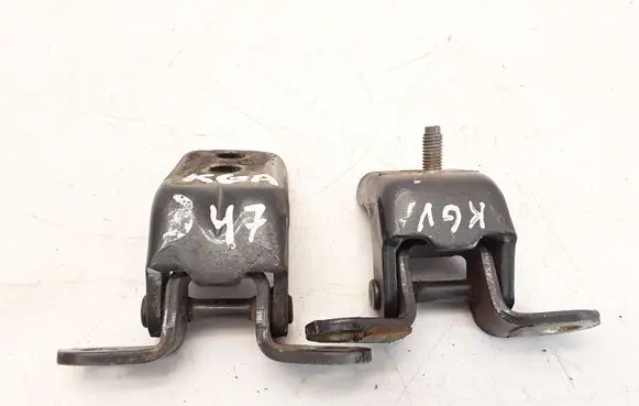 Nissan Almera Tino Rear door hinge set 