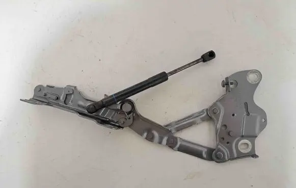 BMW X6 G06 Engine bonnet/hood hinges 7418201 7418188