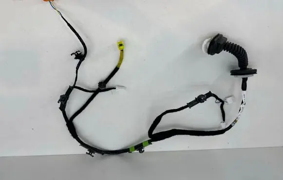 Mazda MX-30 Rear door wiring loom DN4J67210