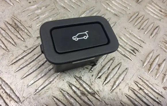 Land Rover Discovery 5 Tailgate/trunk/boot open switch CPLA10E998AA