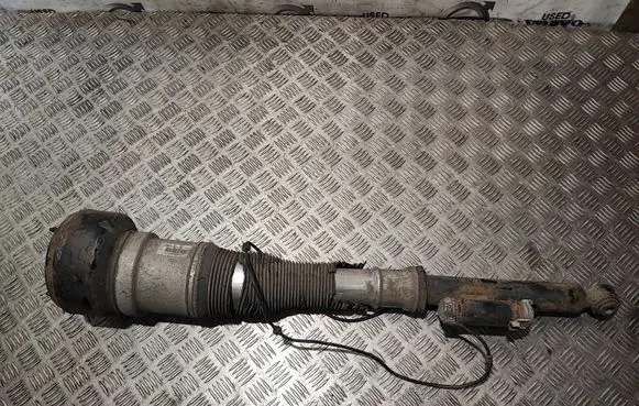 Mercedes-Benz S W221 Rear shock absorber/damper C086106