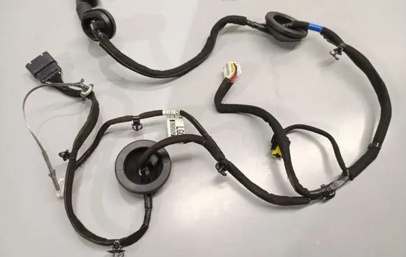 KIA Niro Rear door wiring loom 91620G5020