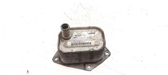 Oil filter mounting bracket