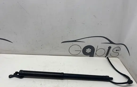 Toyota RAV 4 (XA50) Tailgate/trunk strut/damper 6891042060
