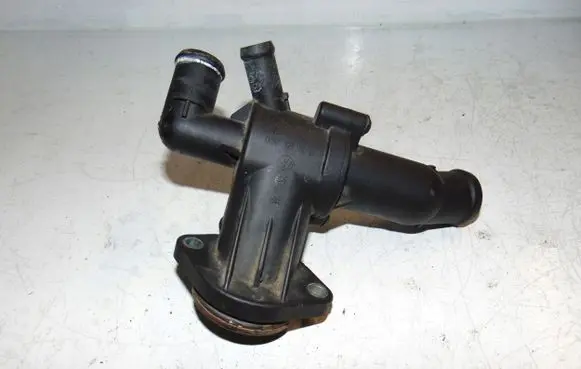 Thermostat/thermostat housing