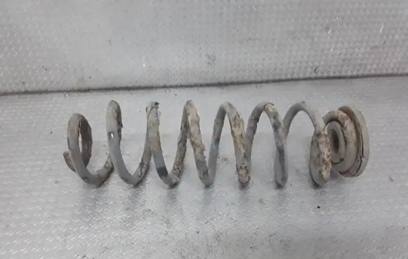 Skoda Octavia Mk2 (1Z) Rear coil spring