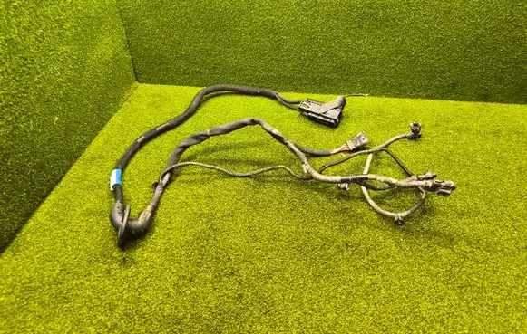 Other wiring loom