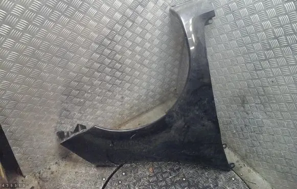 Renault Modus Fender