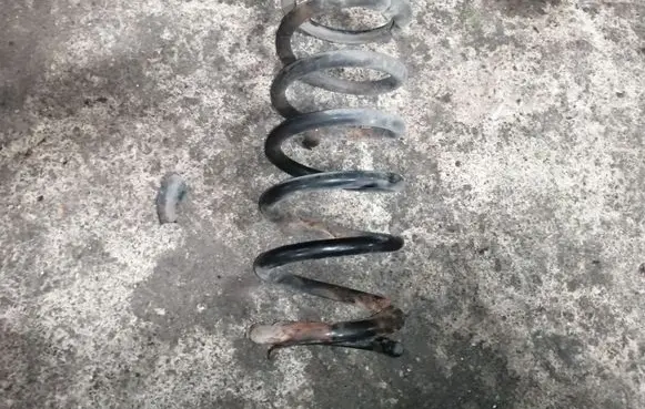 Ford S-MAX Rear coil spring
