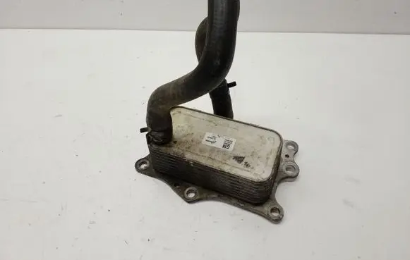 Oil filter mounting bracket