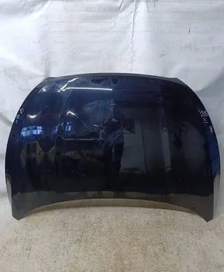 Engine bonnet/hood