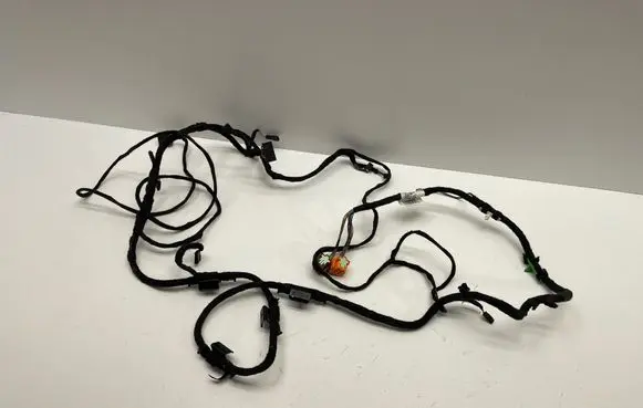 Other wiring loom