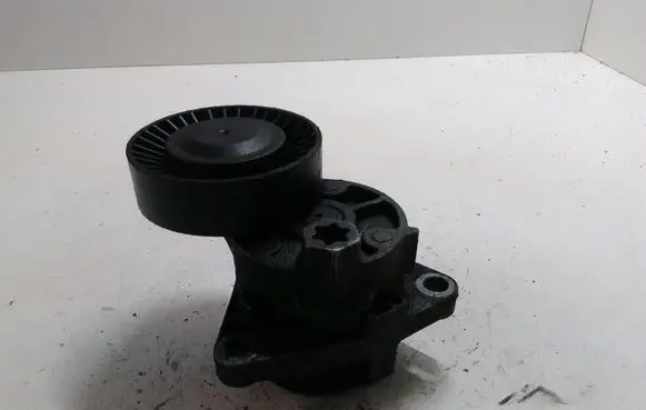KIA Carnival Generator/alternator belt tensioner