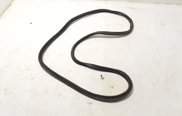 Fiat 500L Trunk rubber seal (body) 52010908