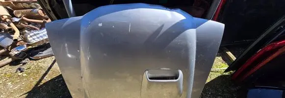 Nissan Terrano Engine bonnet/hood
