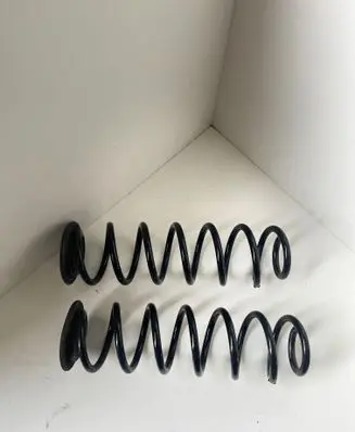 Rear coil spring