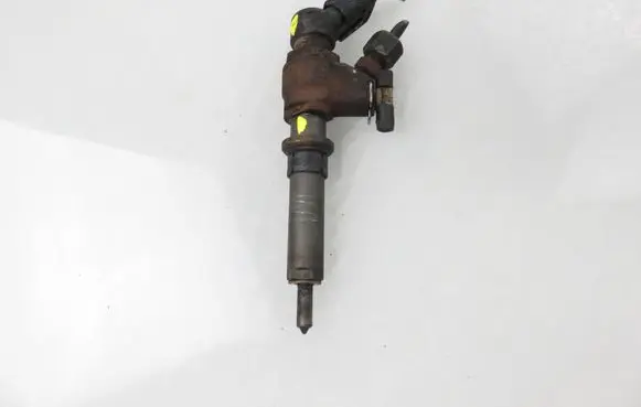 Peugeot Partner Fuel injector 9636819380