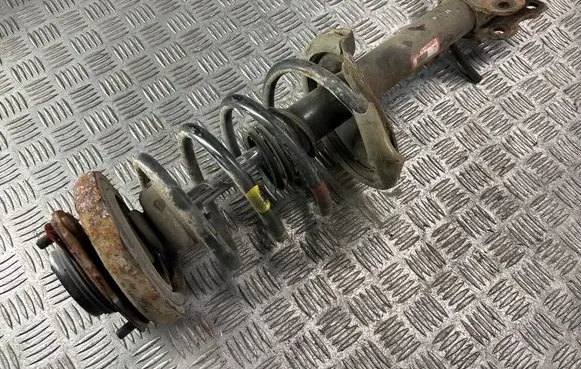 Nissan X-Trail T30 Rear shock absorber/damper 55302EQ000 2A19826A
