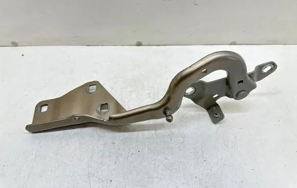 Renault Scenic IV - Grand scenic IV Engine bonnet/hood hinges 654003758R