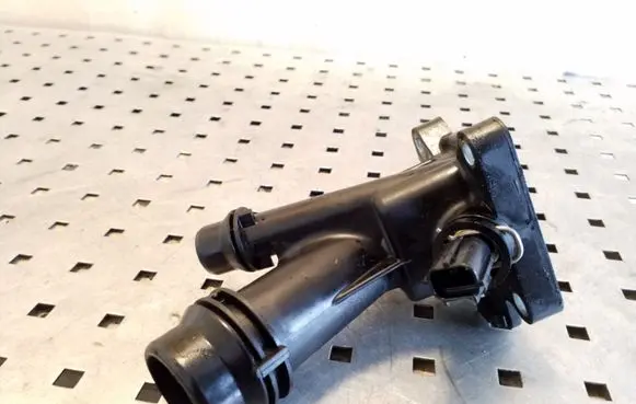 Thermostat/thermostat housing