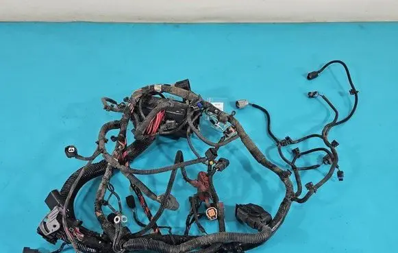 Other wiring loom
