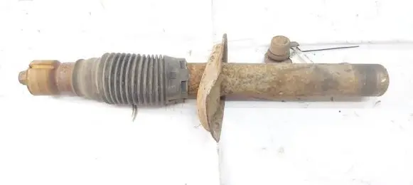 Citroen Xsara Picasso Front shock absorber/damper