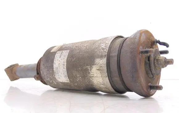 Land Rover Range Rover Sport L320 Front shock absorber/damper RNB501310