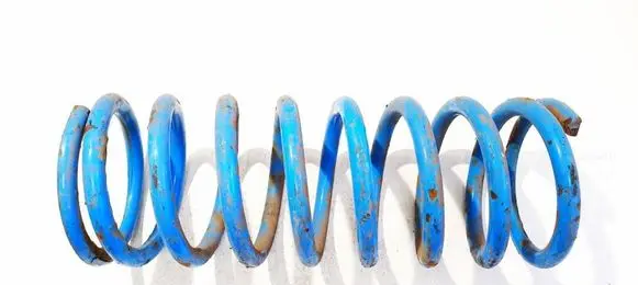 Land Rover Discovery Rear coil spring