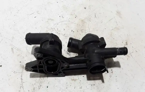 Thermostat/thermostat housing