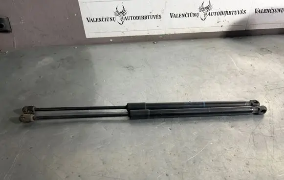 Tailgate/trunk strut/damper