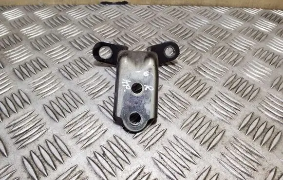 KIA Soul Rear door lower hinge