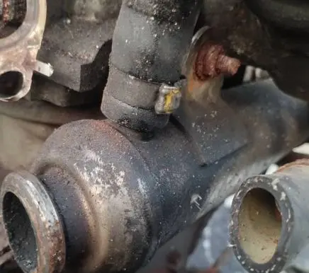 EGR valve cooler