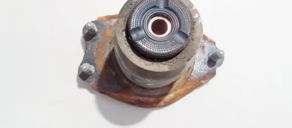 Coil spring mount
