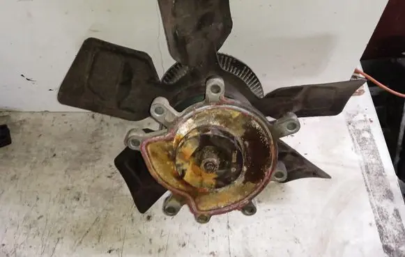 Jeep Grand Cherokee (WJ) Water pump 53020871C