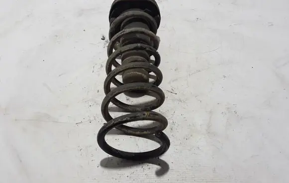 Volvo S80 Rear coil spring 31202529