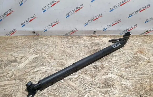 BMW X1 F48 F49 Tailgate/trunk strut/damper 7350837 51247350837