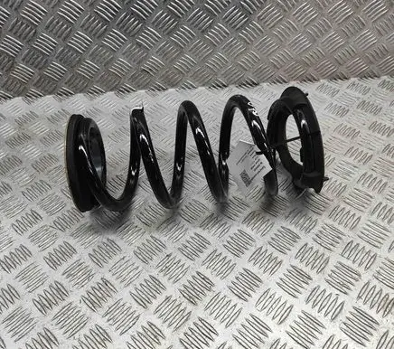 Tesla Model Y Rear coil spring 118847400B