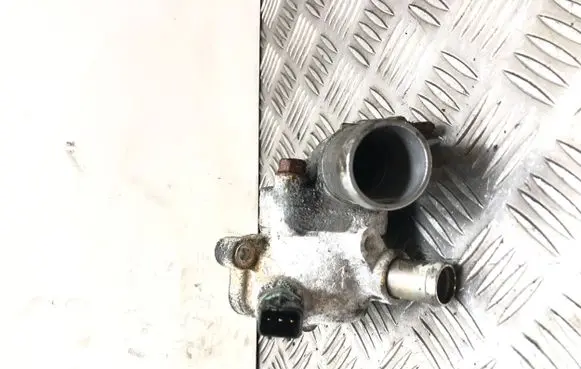 Thermostat/thermostat housing