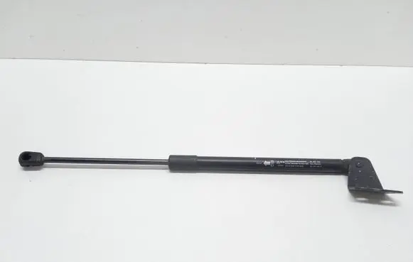 Chevrolet Captiva Tailgate/trunk strut/damper 96830124 05532220813